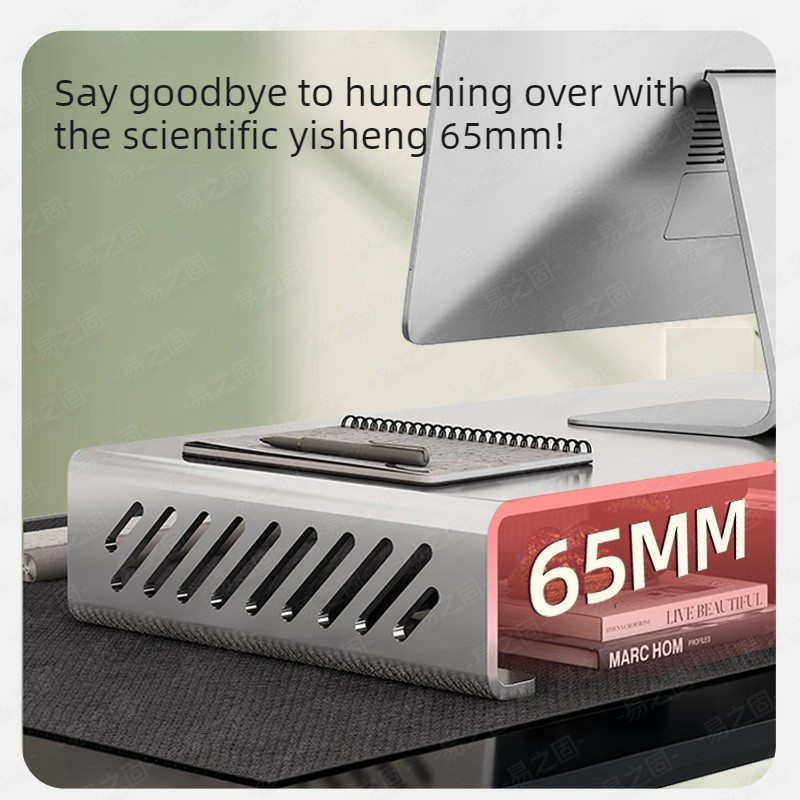 Computer Monitor Stand Riser E - Desk Setup Laptop And Monitor review and price