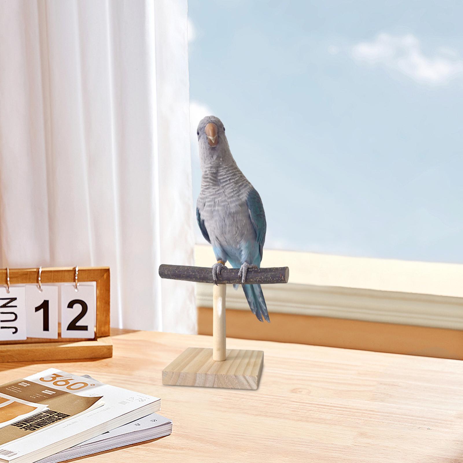 Natural Wood Parrot Perch Stan - Desk Setup Wood review and price
