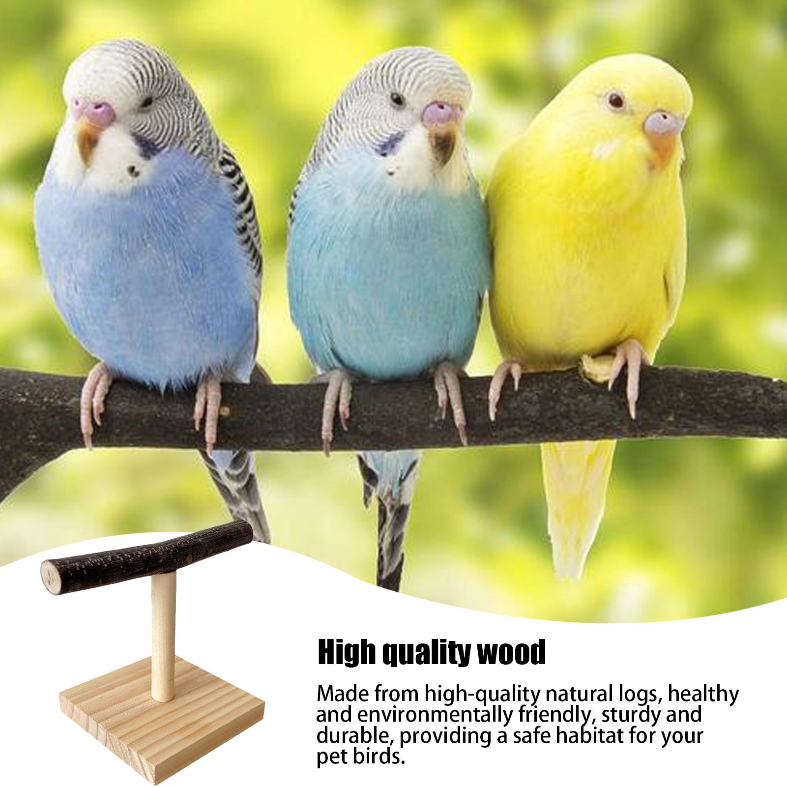 Natural Wood Parrot Perch Stan - Desk Setup Wood review and price