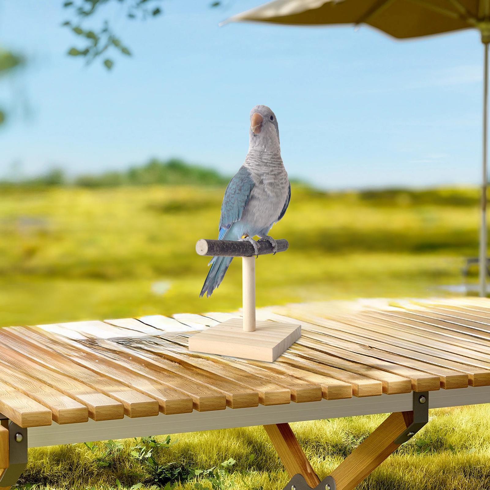 Natural Wood Parrot Perch Stan - Desk Setup Wood review and price