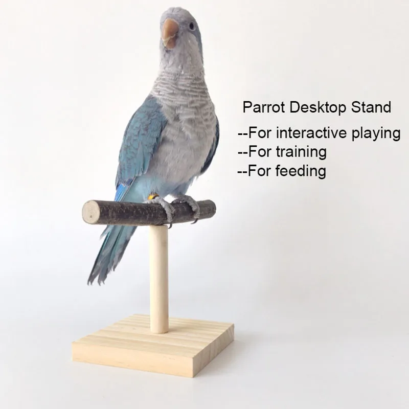 Natural Desktop Stand Pet Parr - Desk Setup Wood review and price