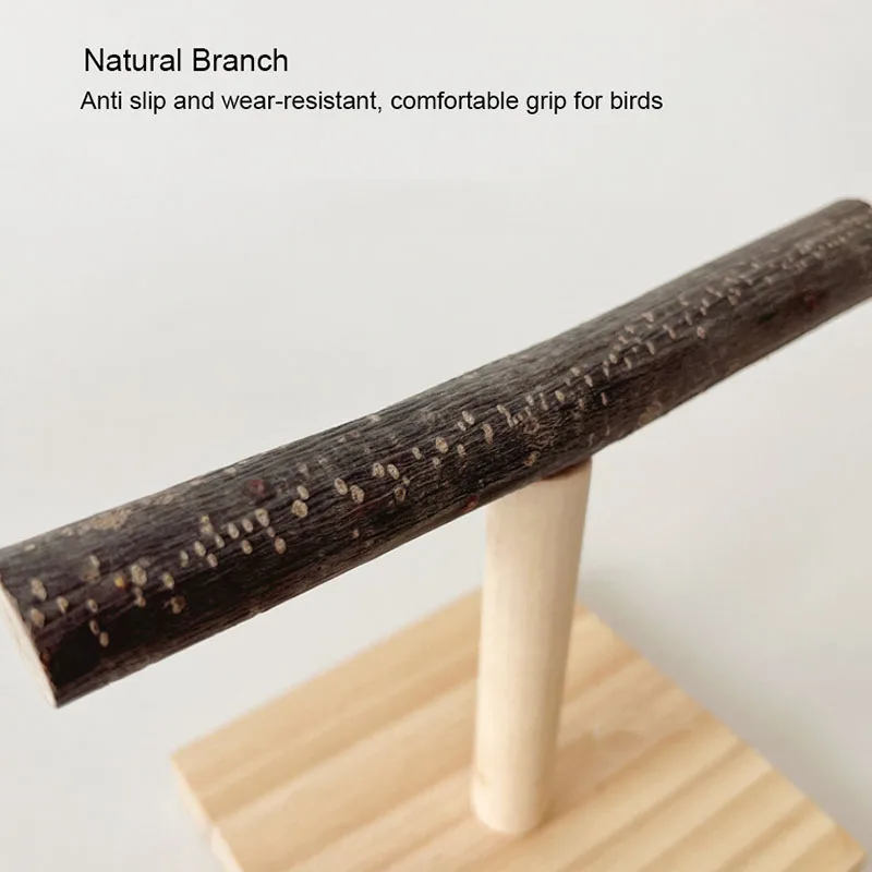 Natural Desktop Stand Pet Parr - Desk Setup Wood review and price
