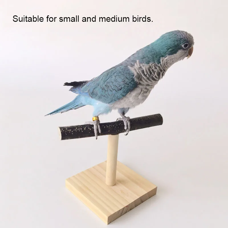 Natural Desktop Stand Pet Parr - Desk Setup Wood review and price